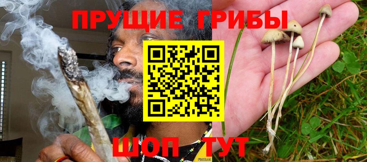 Псилоцибиновые грибы прущие грибы Похвистнево