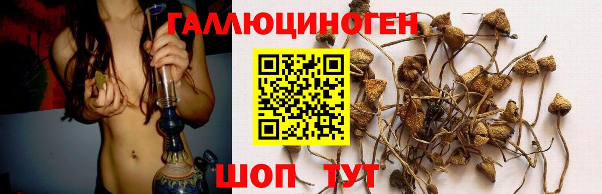 Похвистнево  Псилоцибиновые грибы прущие грибы  Галлюциногенные грибы Psilocybine cubensis  Вход с VPN 
